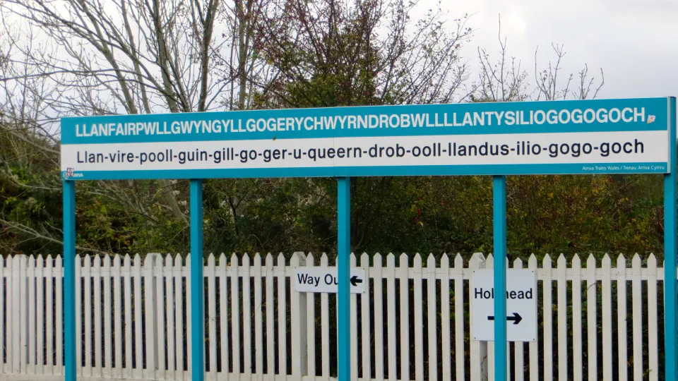 As maiores palavras do mundo (e o que cada uma significa)