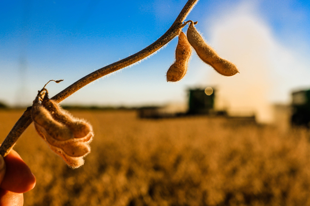 Brasil pode ter recorde de falências em 2026