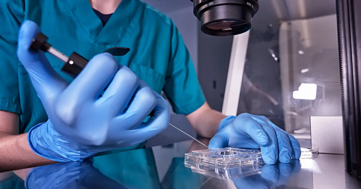 Quando a gravidez natural não acontece: como fertilização amplia chances