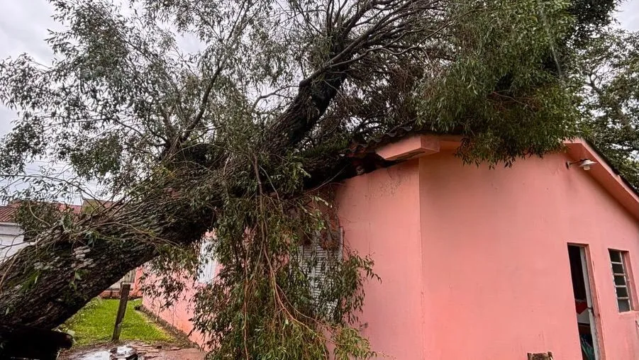 Temporal deixa ao menos 60 casas destelhadas em Encruzilhada do Sul (RS)