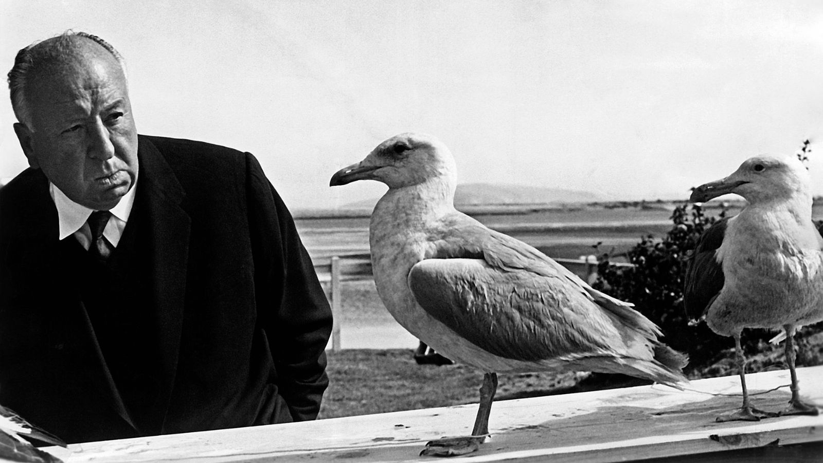 os cinco melhores filmes do mestre do suspense