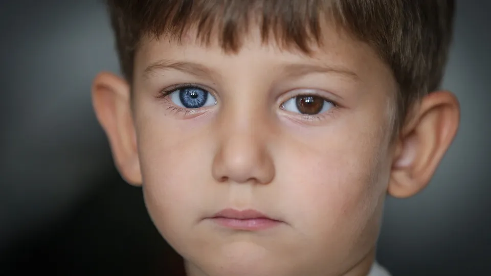 A ciência por trás dos olhos verdes e azuis