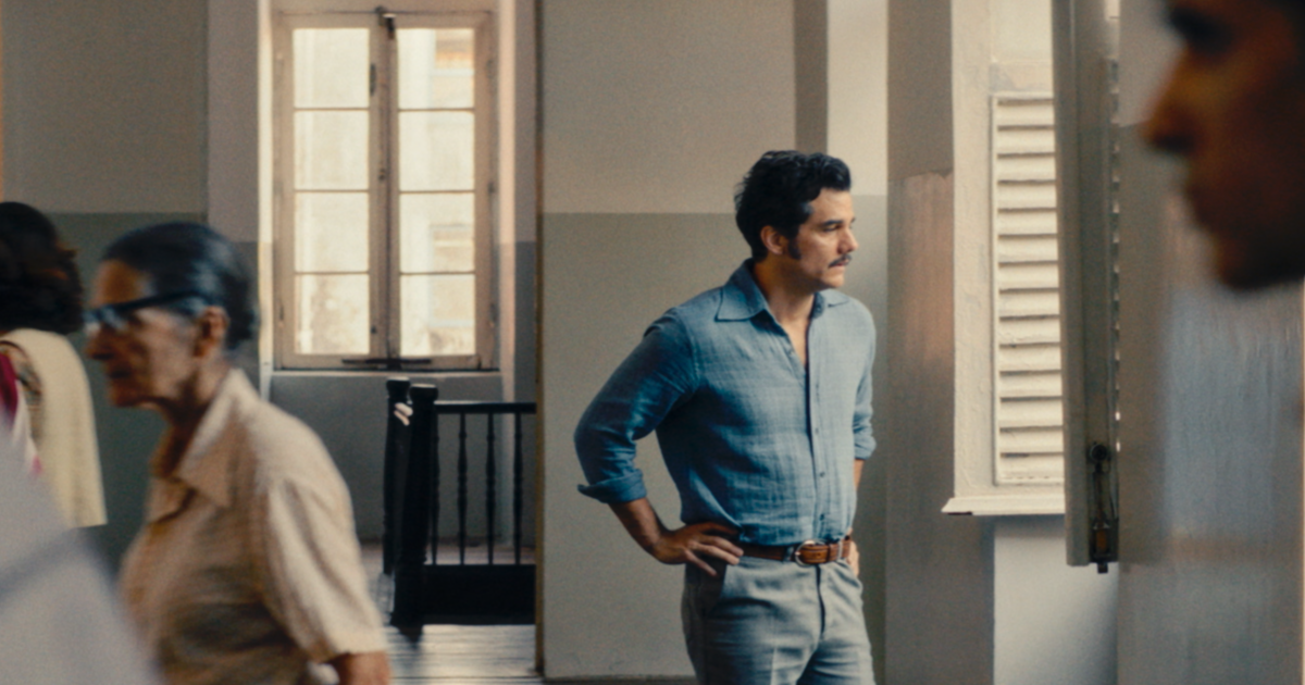 Como ver seu Letterboxd Wrapped de 2025