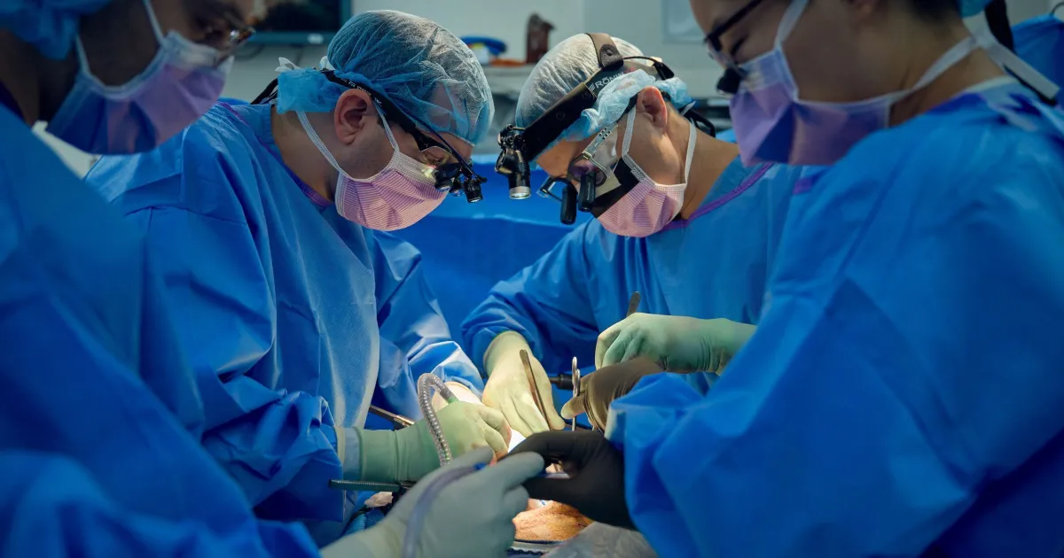 Primeiro paciente com rim de porco recebe transplante de rim humano