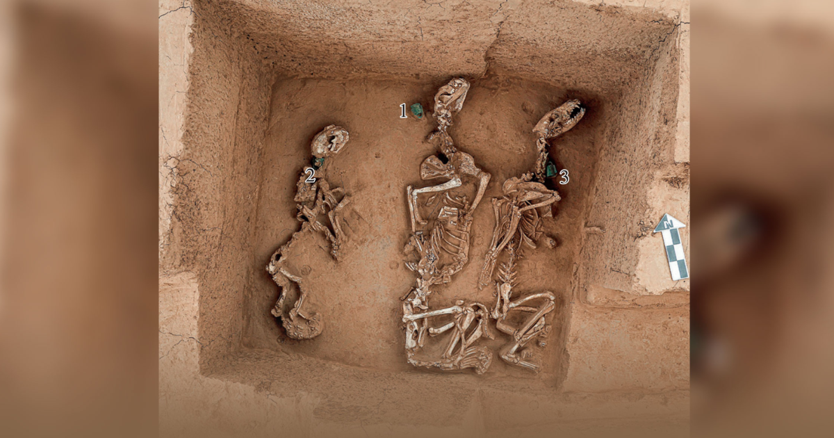 Resto de antigo "zoológico" com animais de 3 mil anos é encontrado na China