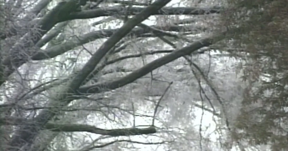 Tempestade de neve: EUA têm pior dia de cancelamento de voos do último ano